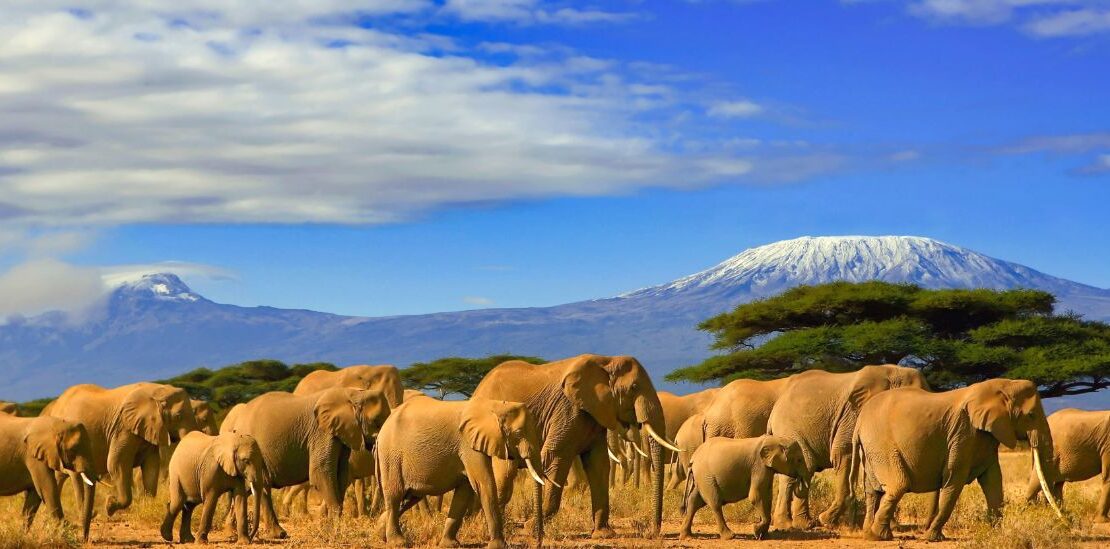 Kenya - Tanzania tour package​