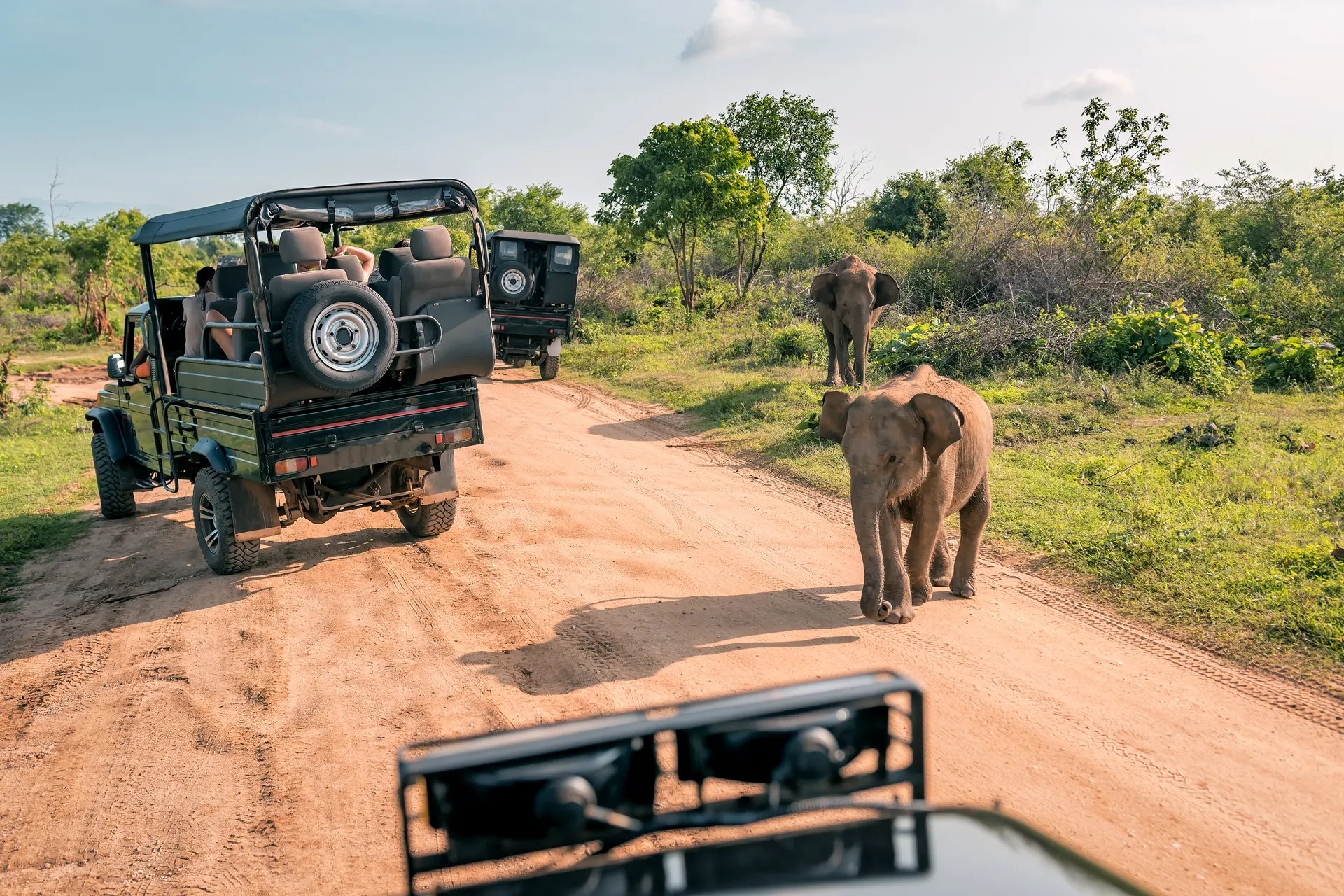 Kenya - Tanzania tour package​