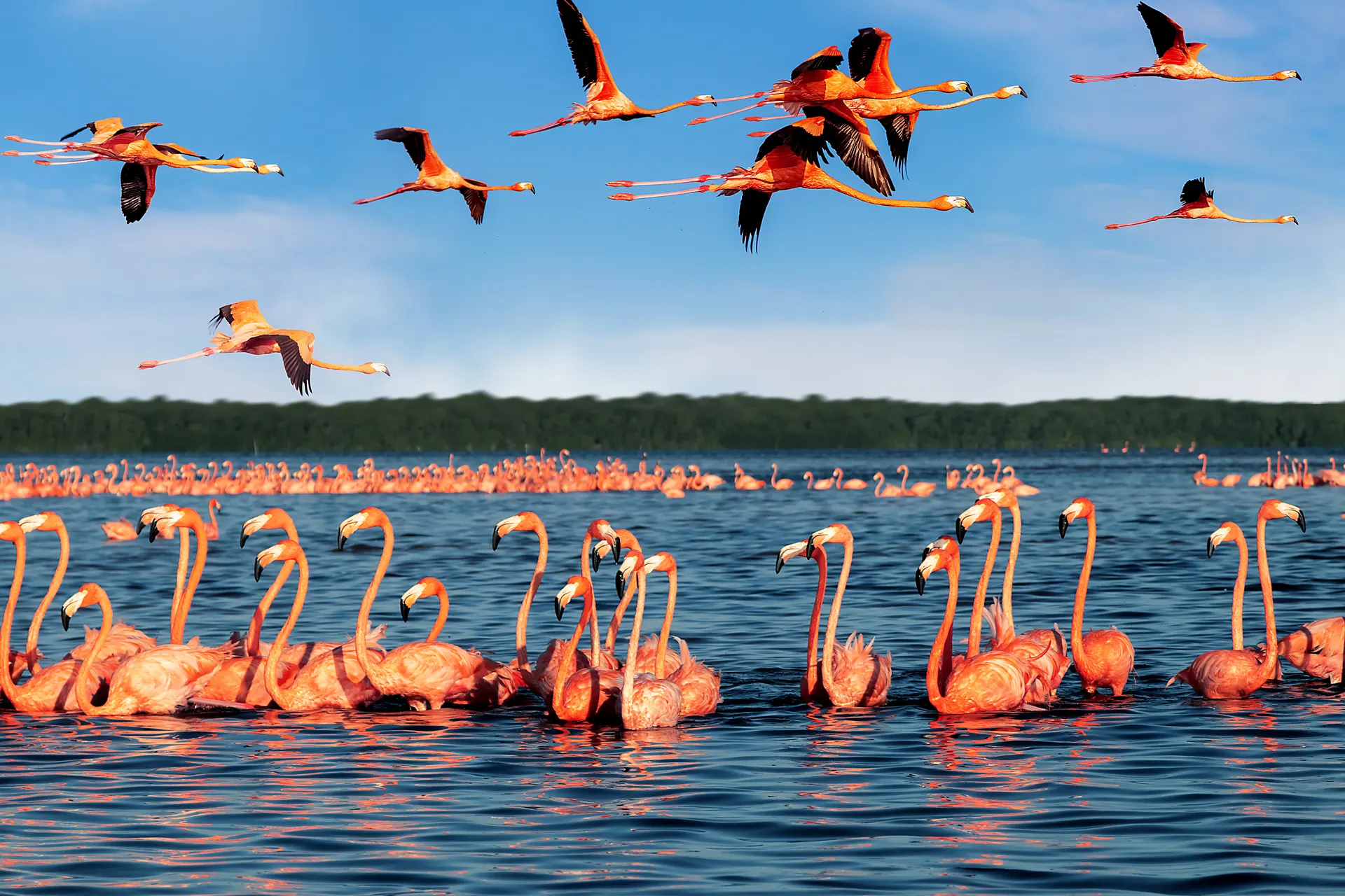 Kenya - Tanzania tour package​