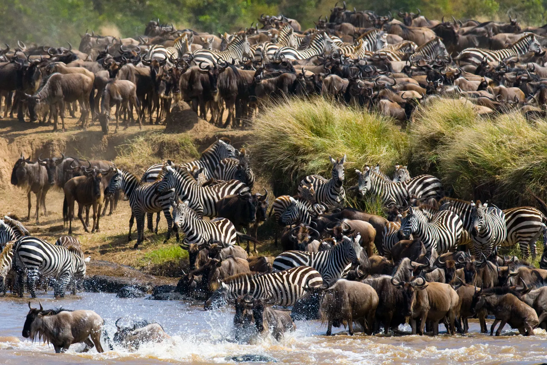 Kenya - Tanzania tour package​