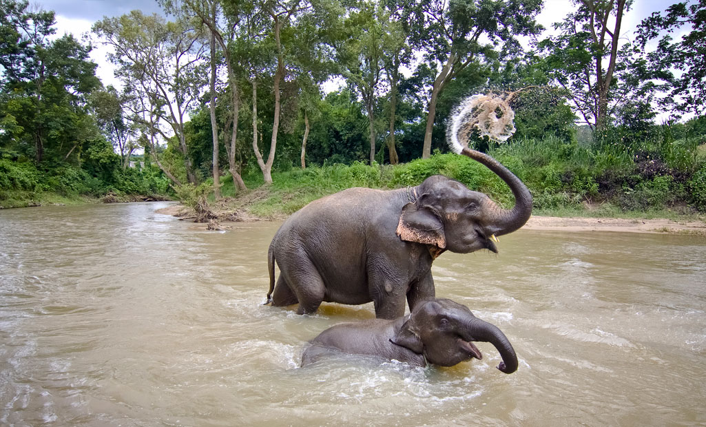 kabini Tour Package