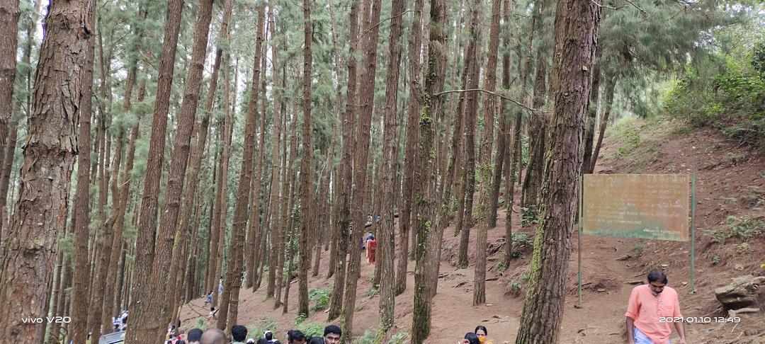 Vagamon-4