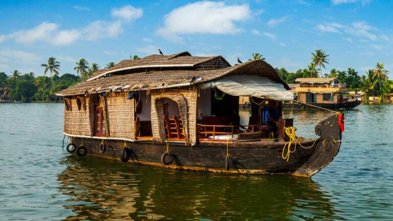 Wayanad tour packages
