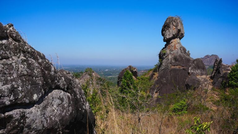 Wayanad tour packages