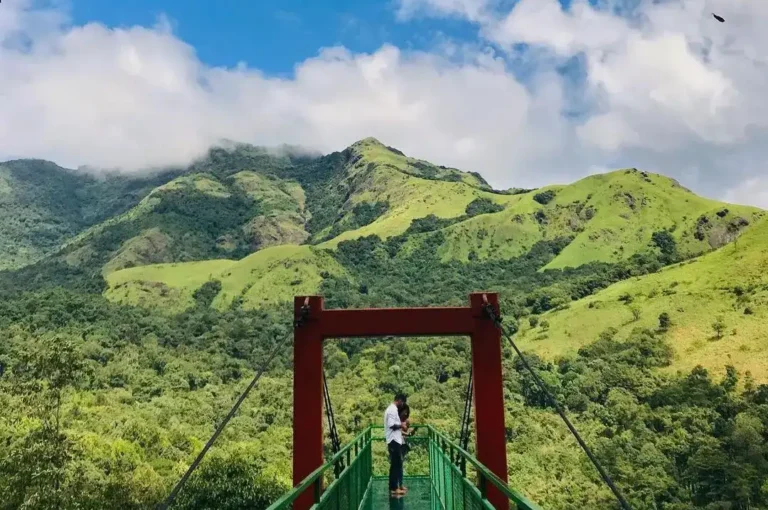 Wayanad tour packages